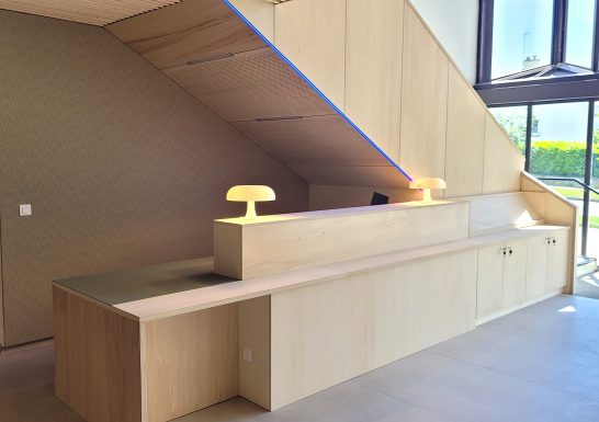 Image Cloisons et plafonds acoustiques – Conservatoire de Lorient (56)